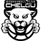 ChelGU 库斯塔奈 logo