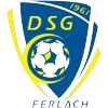 DSG费拉赫 logo